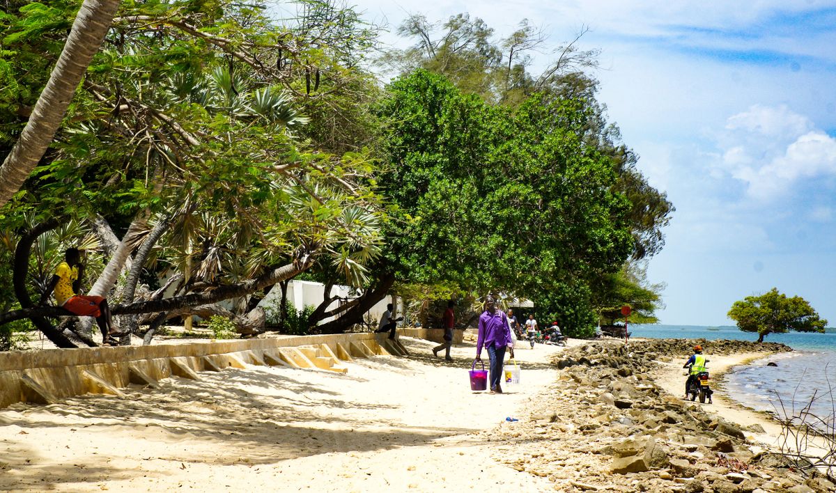 Msafini MangoTop Roof Hotel
