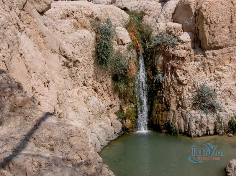 Заповедник Эйн-Геди