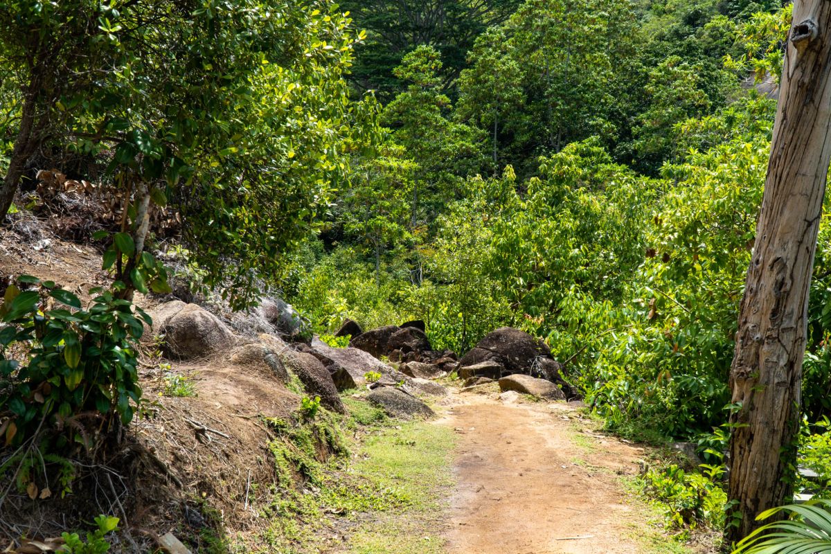 Тропа Анс Мажор