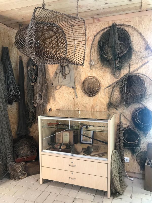 Центр исследования русалок