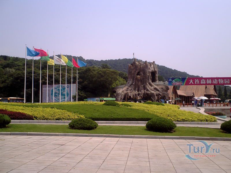 Даляньский лесной зоопарк