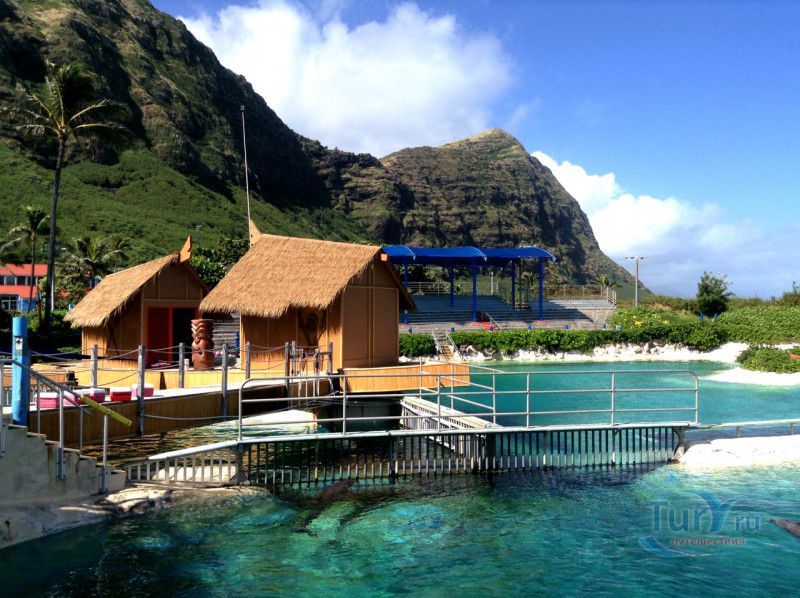 Парк Морской жизни Sea Life Park на о.Оаху