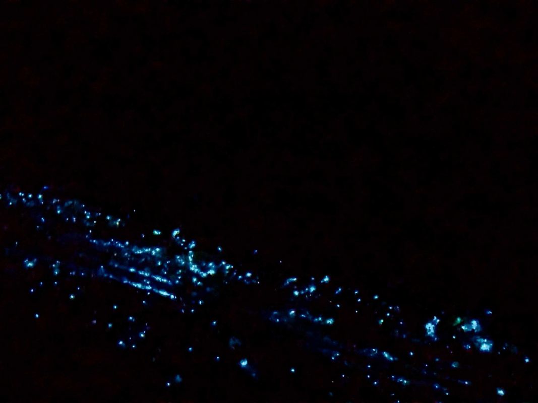 Маафуши Планктон Бич