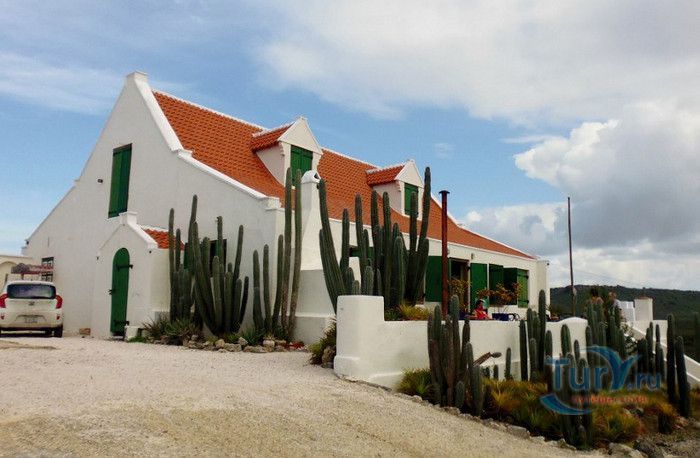 Галерея Нены Санчес