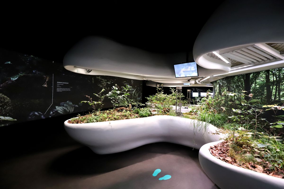 Национальный сельскохозяйственный музей