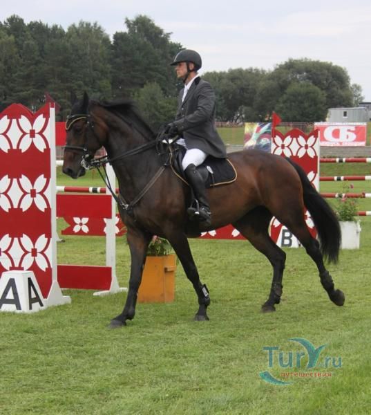 Республиканский центр олимпийской подготовки конного спорта и коневодства «Ратомка»