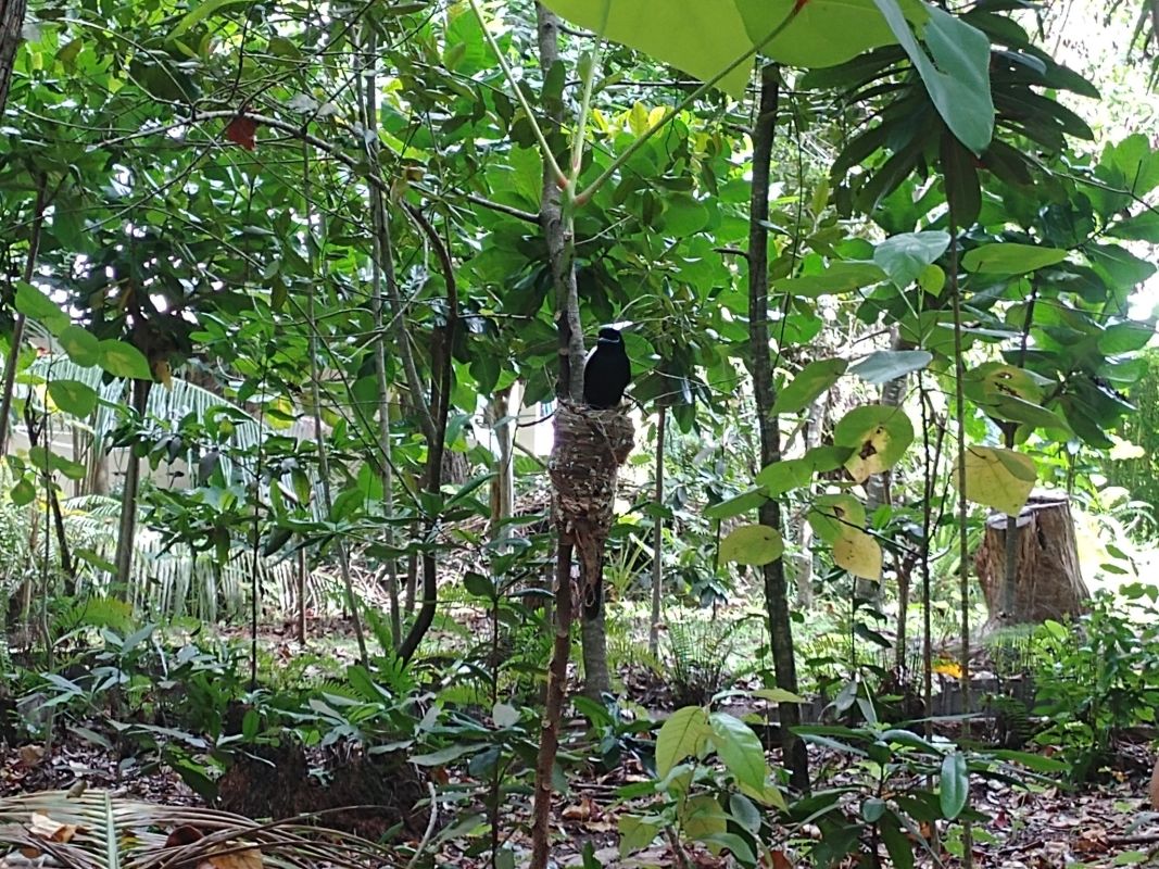 Особый заповедник Veuve