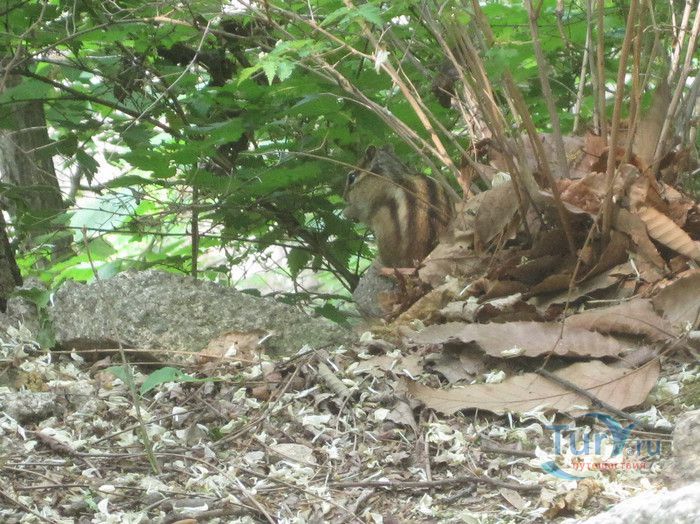 Национальный Парк Пукхансан