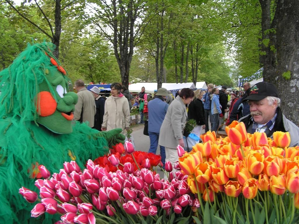 Ярмарка цветов в Тюри