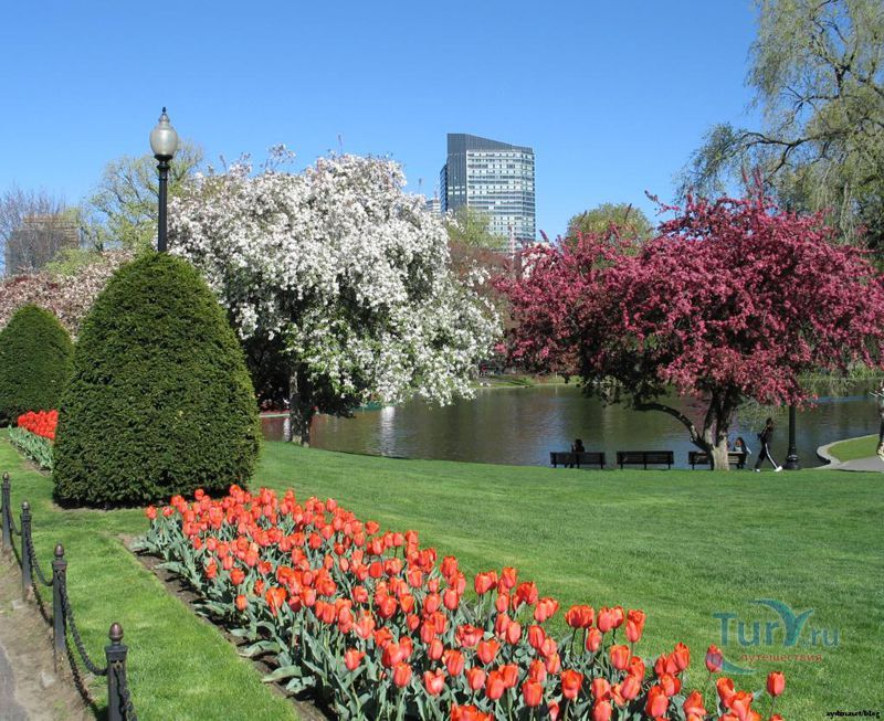 Бостон Коммон