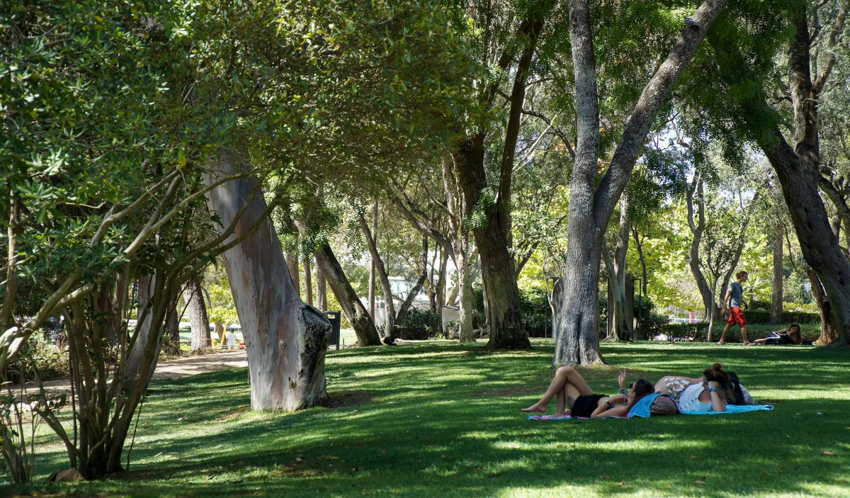 Парк Марешала Кармона