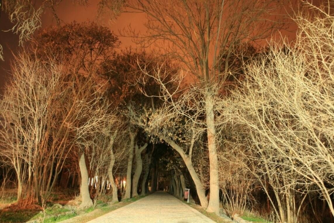 Сад Шокат Абад