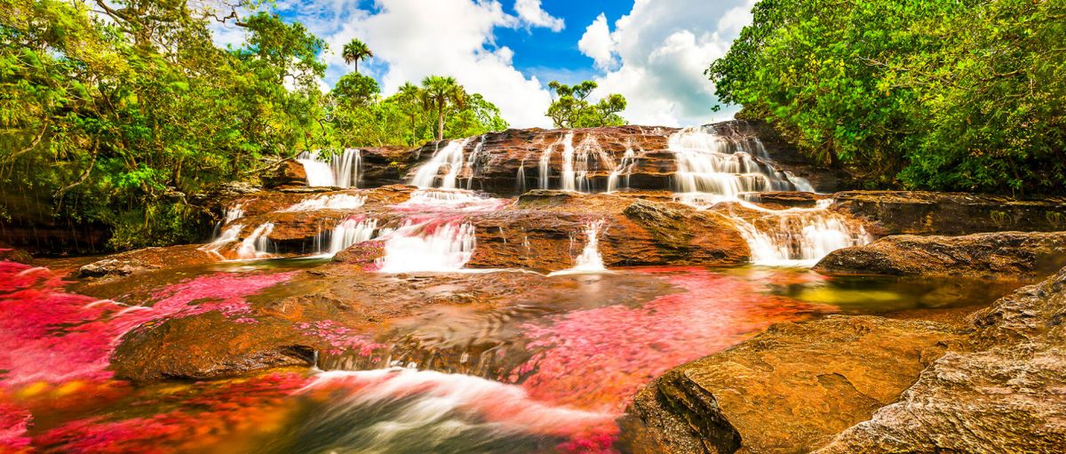 Кристальная река (Река Пяти Цветов)