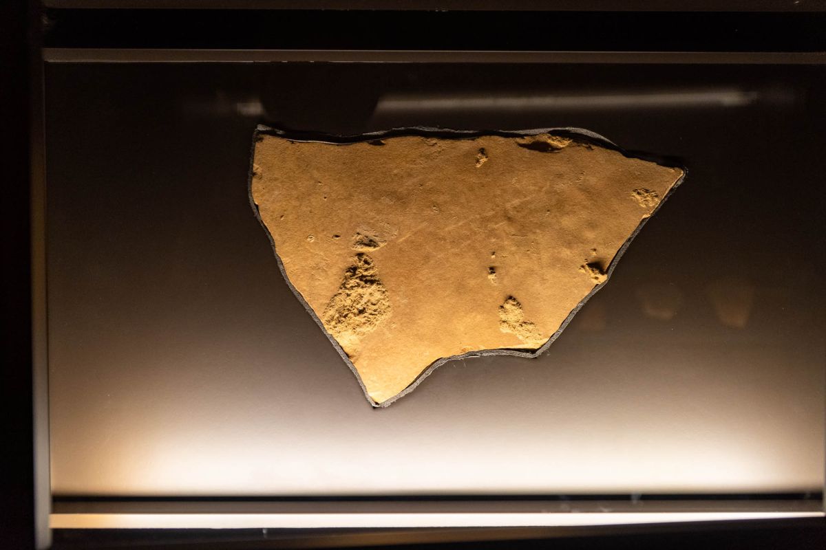 Музей доисторической эпохи Валенсии