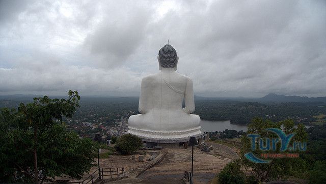 Курунегала