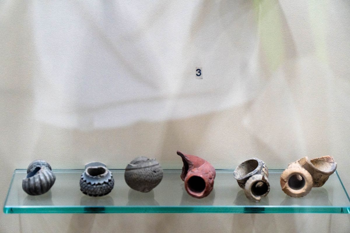 Батумский Археологический Музей