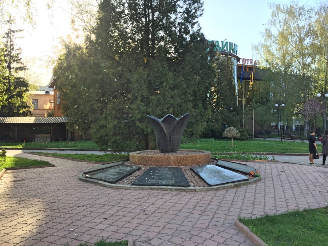 Черный Тюльпан