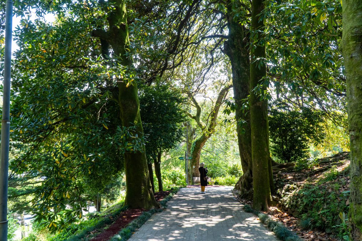 Батумский ботанический сад