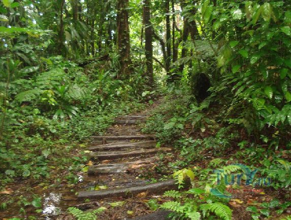 Водопад Мидлхэм