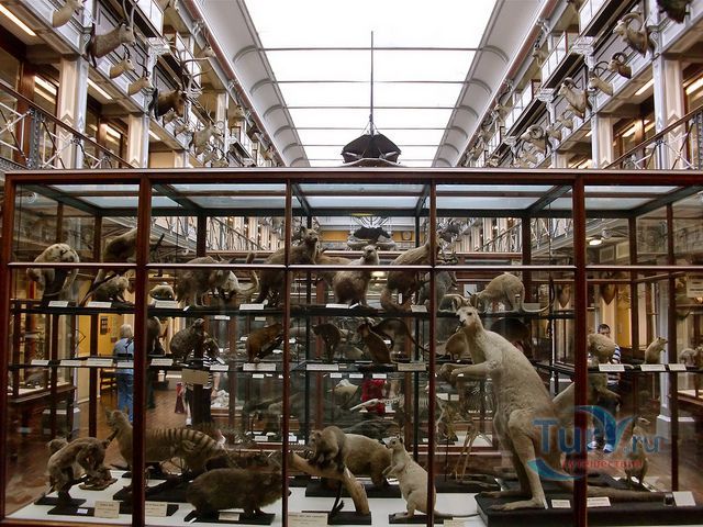 Музей Истории Естествознания