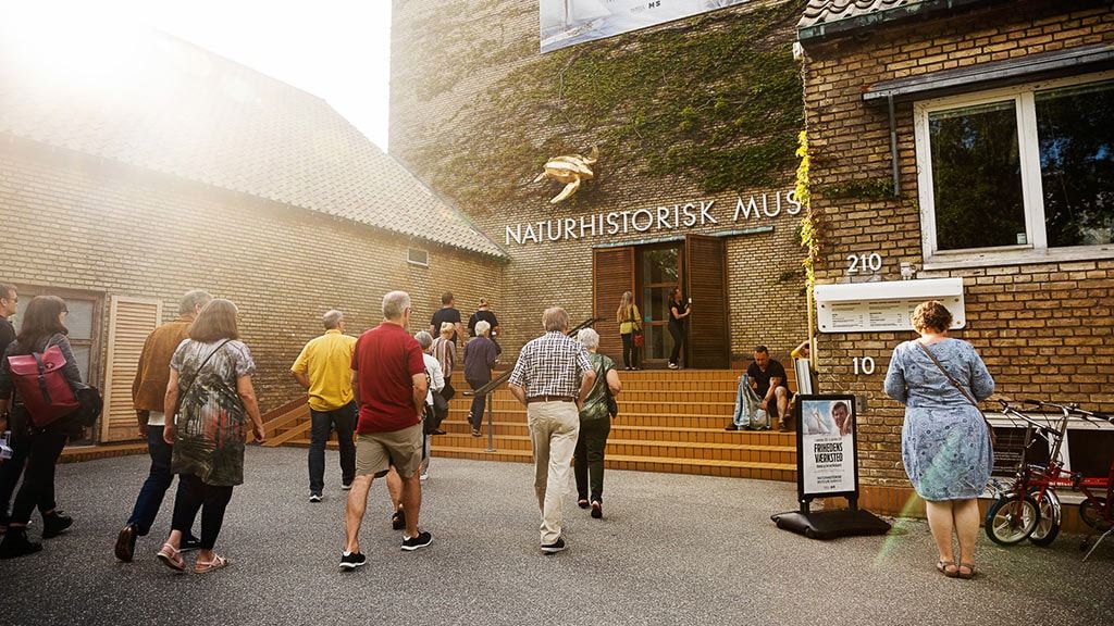 Музей естественной истории