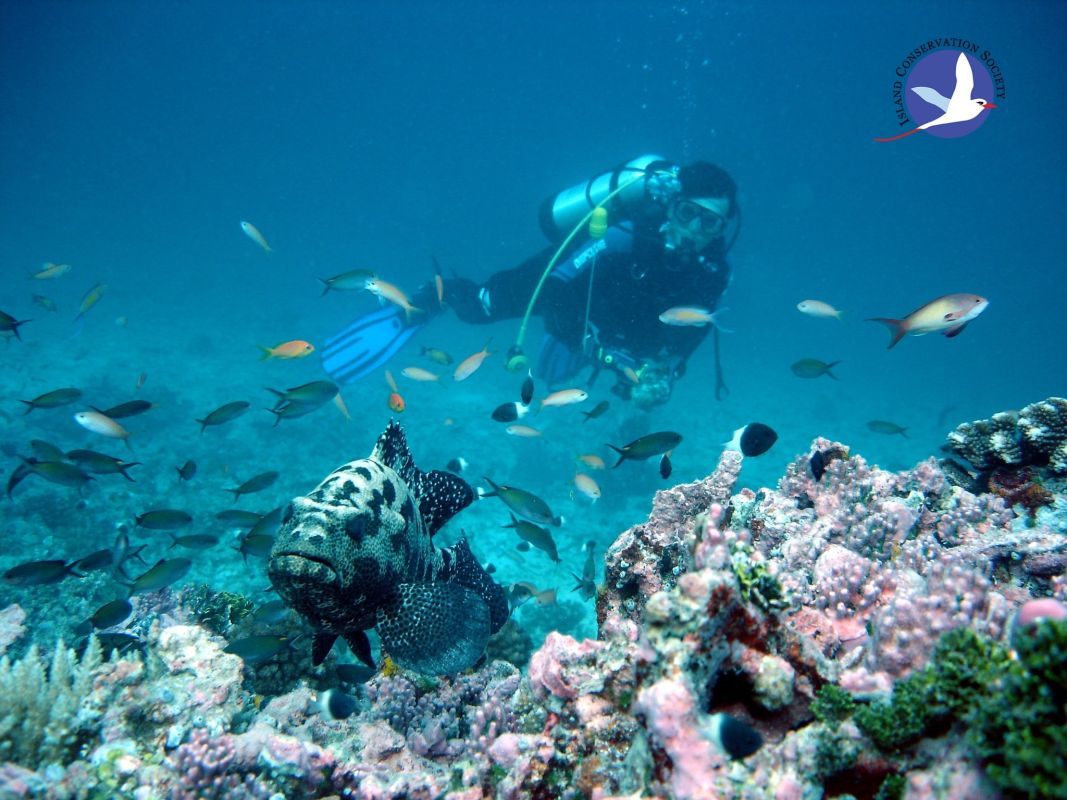 Особый заповедник острова Арид