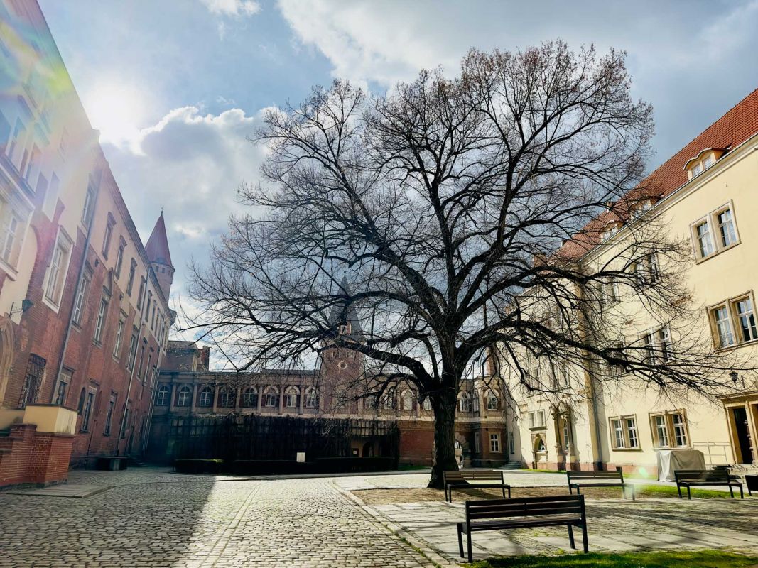 Замок Пястов в Легнице