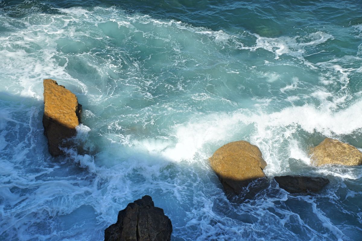 Камперван Дэй Парк