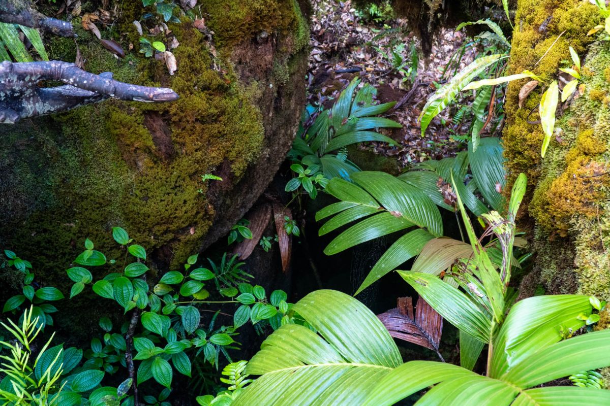 Морн Блан Трейл