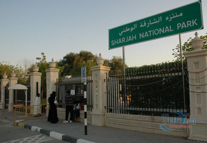 Национальный парк Шарджа