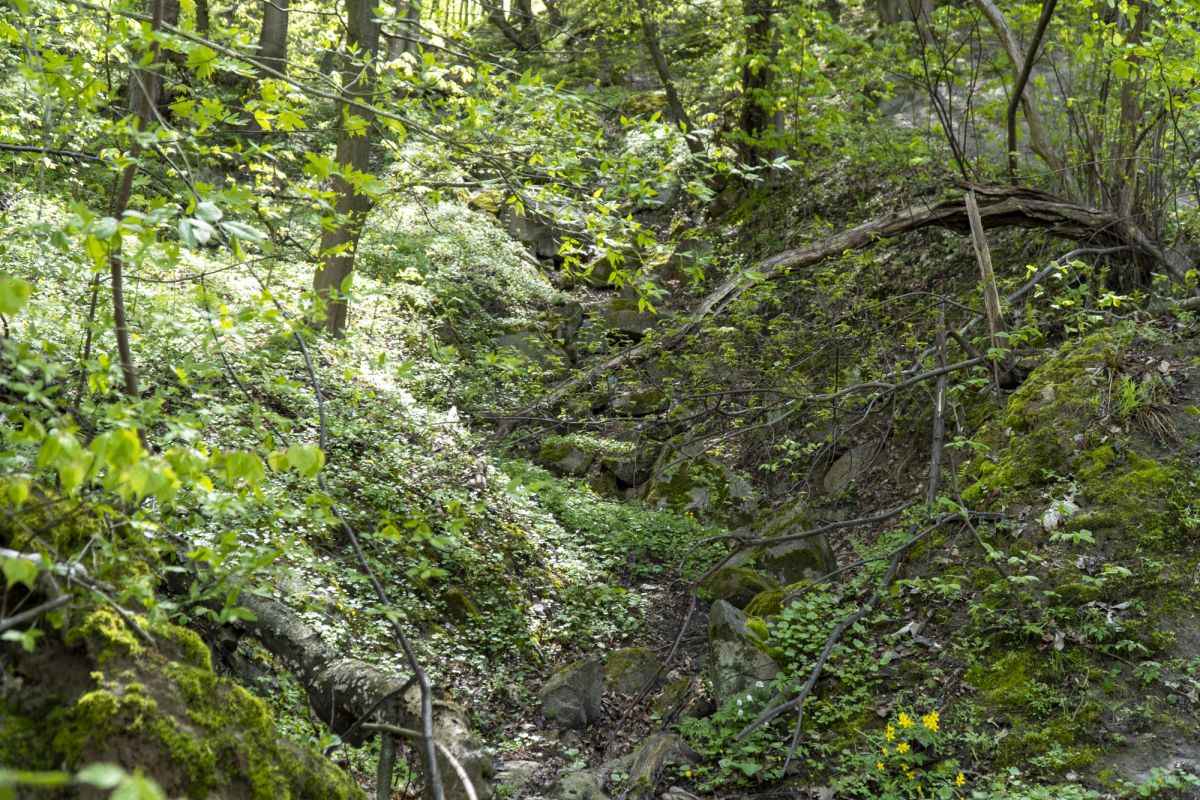 Пешеходный маршрут по южной стороне Тетерева