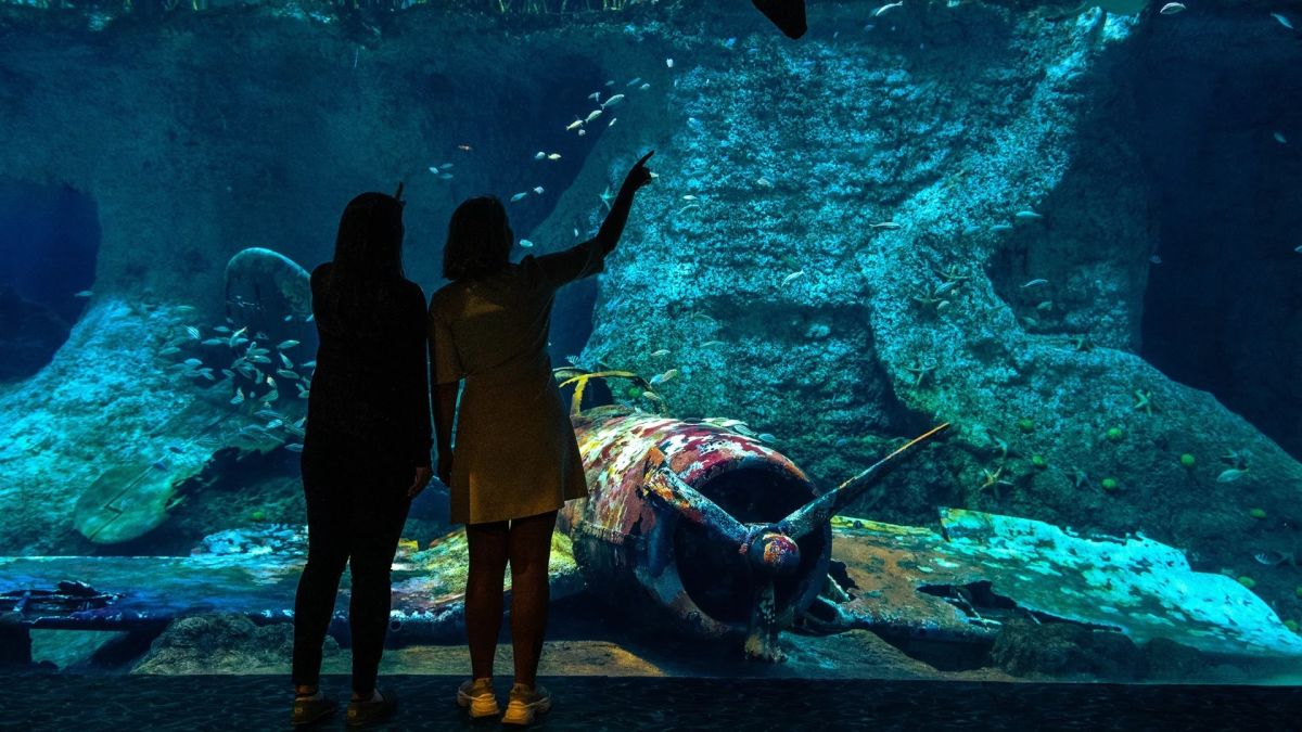 Национальный аквариум Абу-Даби