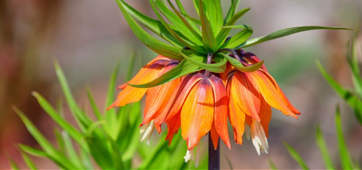 Гора Айгуль-Таш