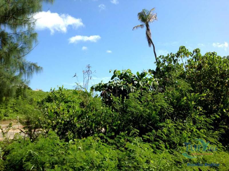 Пляж Карана