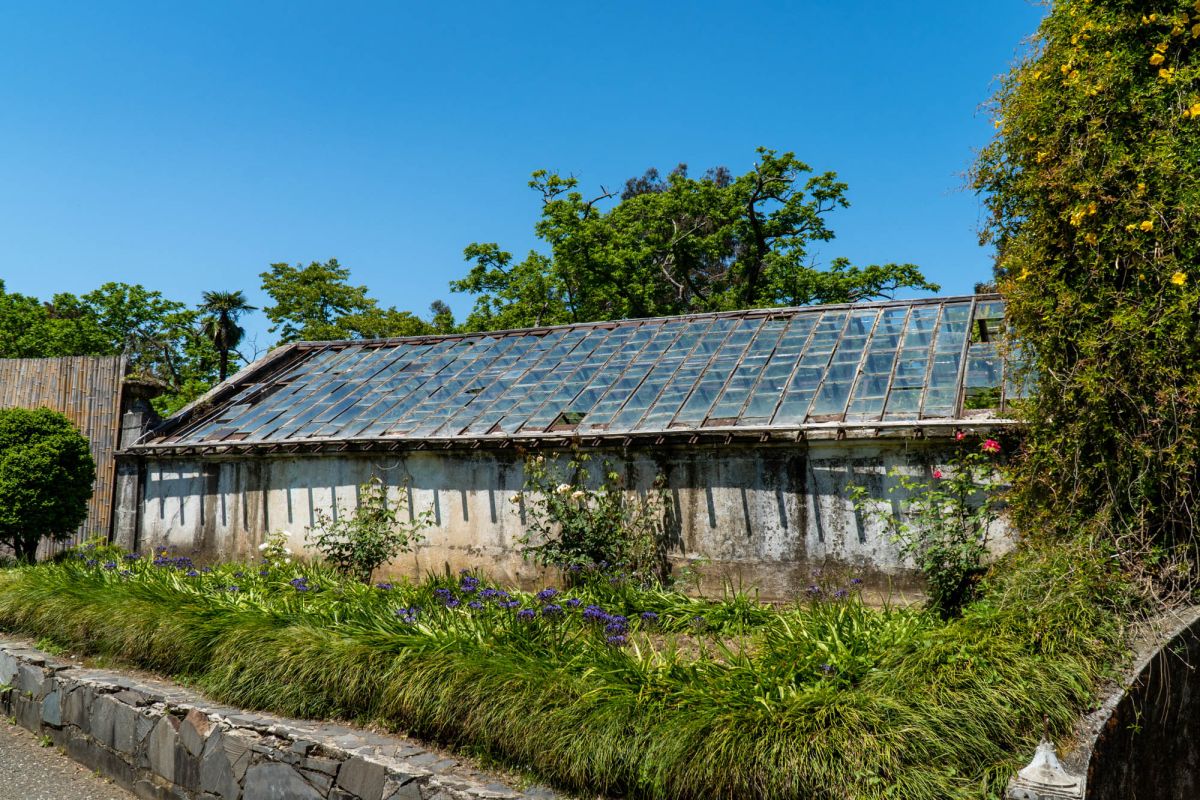 Батумский ботанический сад