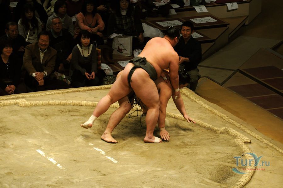 Район Рёгоку