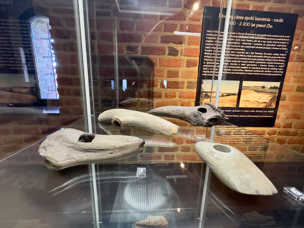 Вроцлавский археологический музей