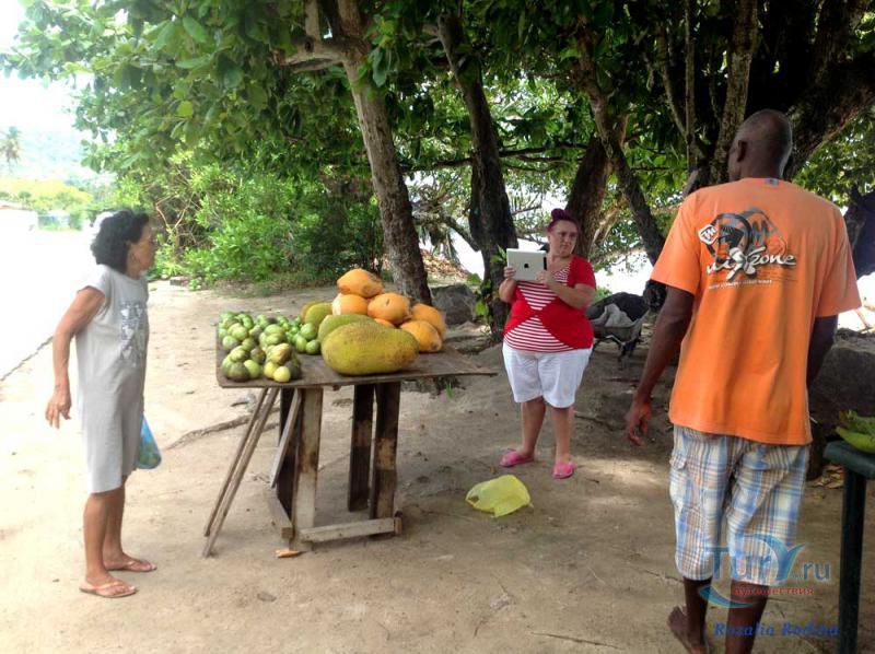 Пляж Анс-о-Пен и бухта Тартл