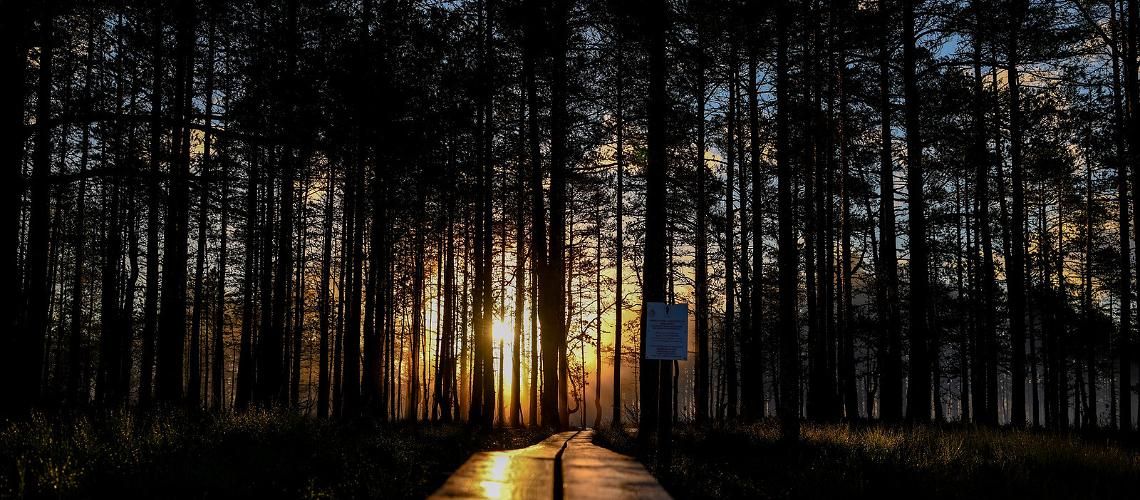 Уникальные велнес-ретриты, чтобы победить ус... фото