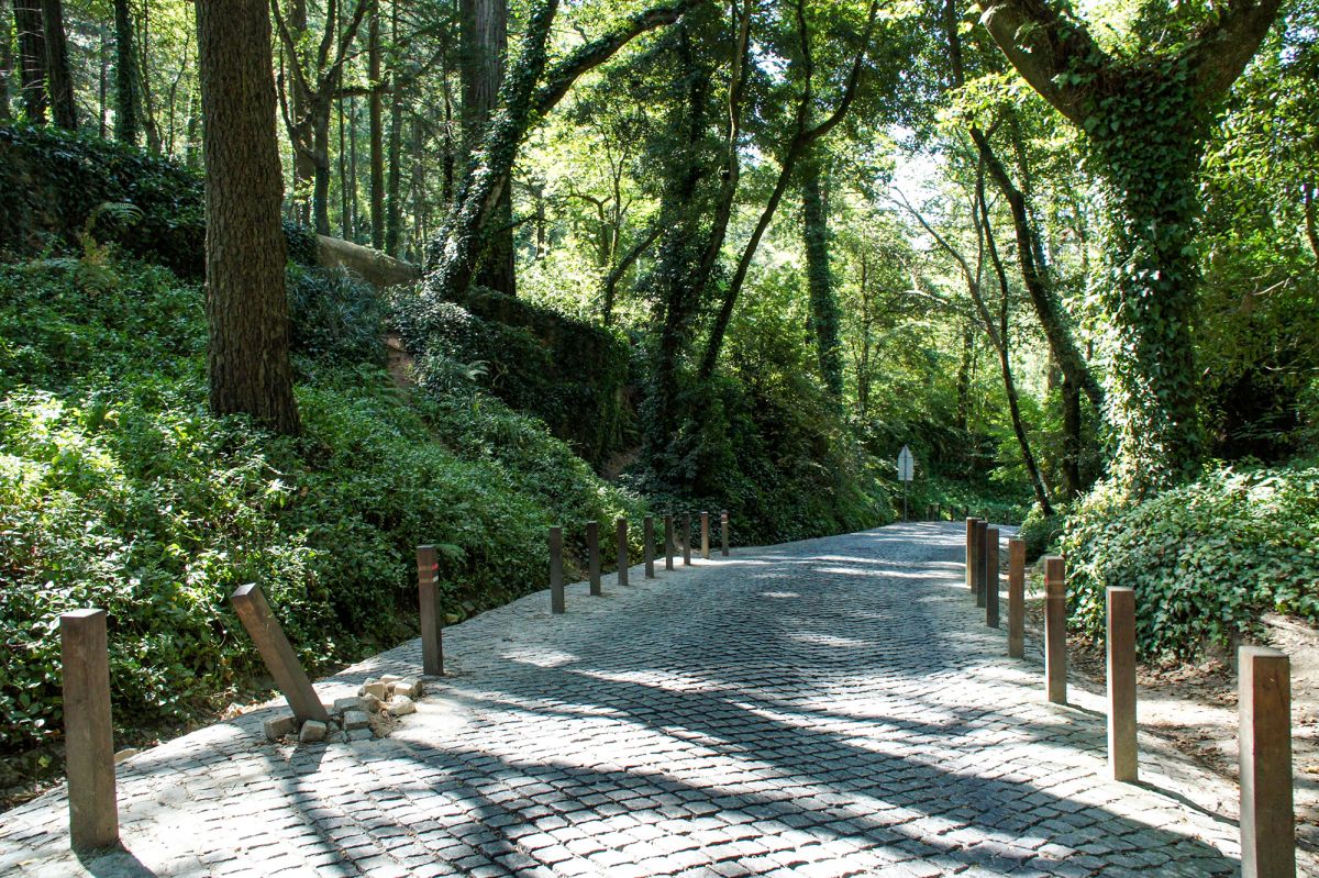Ботанический сад Вале-дус-Лагуш-э-Патейра (Vale dos Lagos e Pateira)