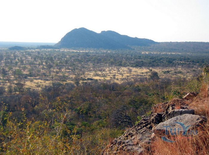 Холмы Цодило