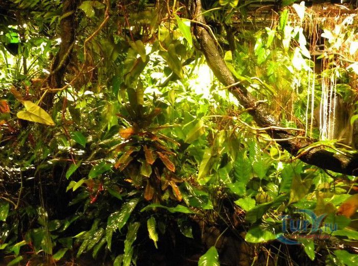 Музей Воды Аквариа