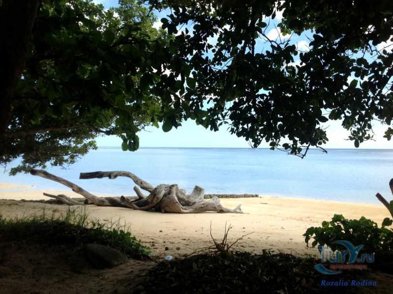 Пляж Анс-о-Пен и бухта Тартл