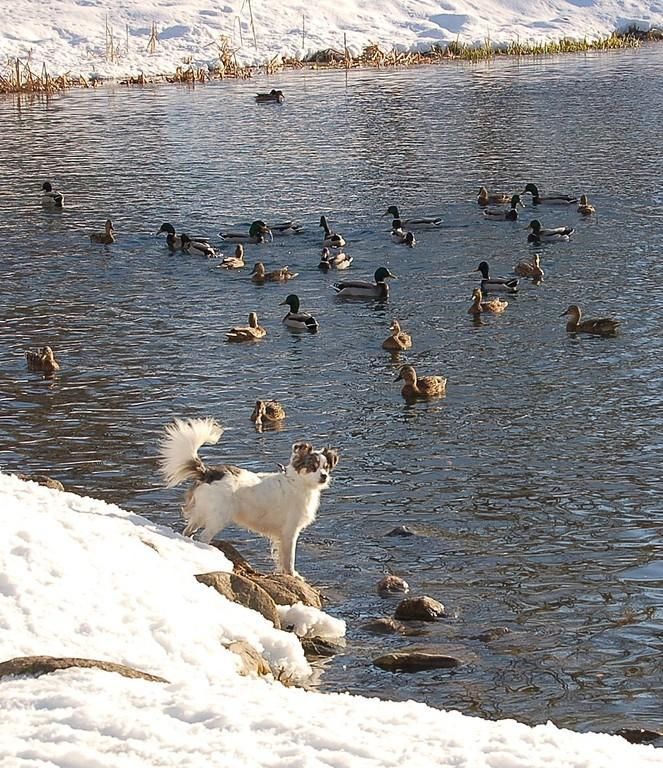 Мыза Раквере и парк