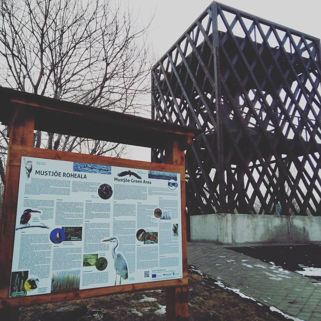 Смотровая вышка для наблюдения за птицами в Мустйыэ