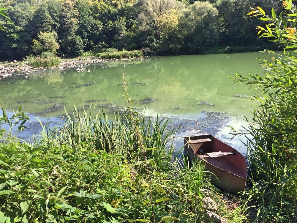 Река Тетерев