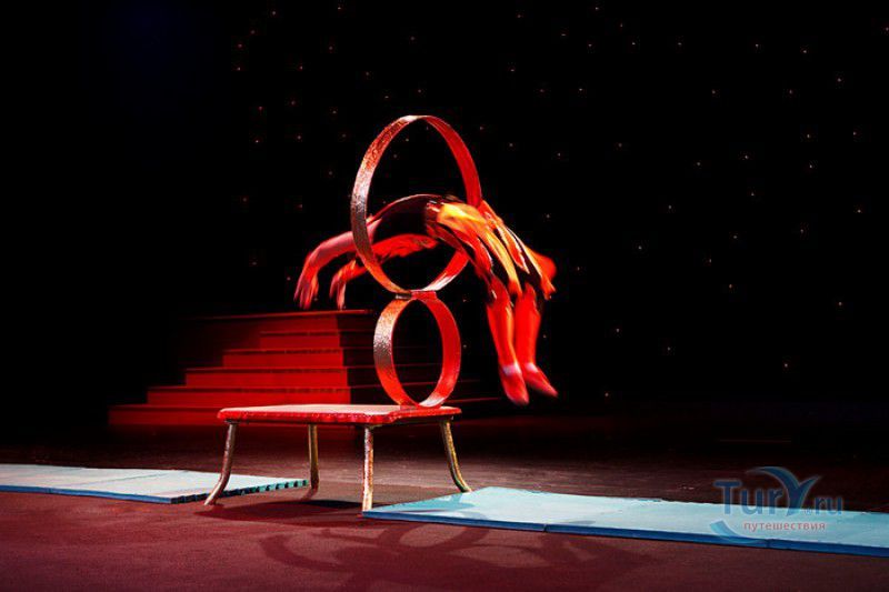 Всемирный Шанхайский Цирк