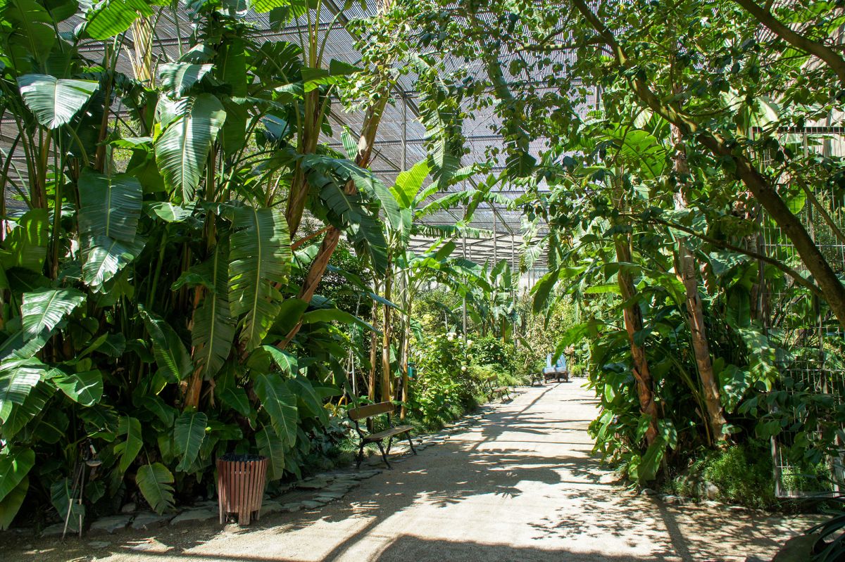 Парк Эдварда VII и Эстуфа Фриа 