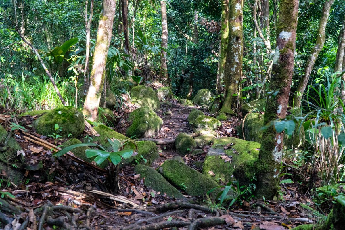 Морн Блан Трейл