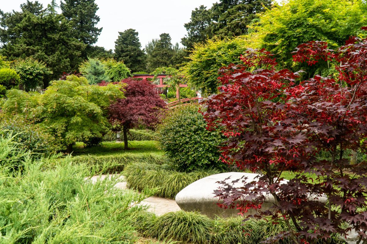 Японский сад в Батуми